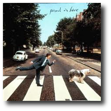 Paul McCartney - Paul Is Live