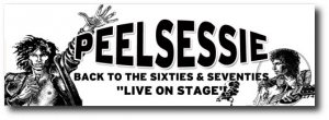 2009 'Peelsessie Back to the Sixties & Seventies' Banner